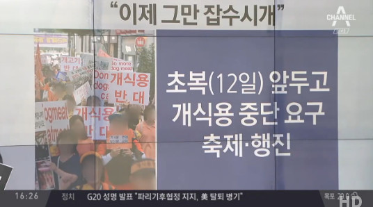 사진출처=채널 A 방송화면 캡처, 채널 A 에서 개 식용 반대 집회에 대한 것이 방송되고 있다