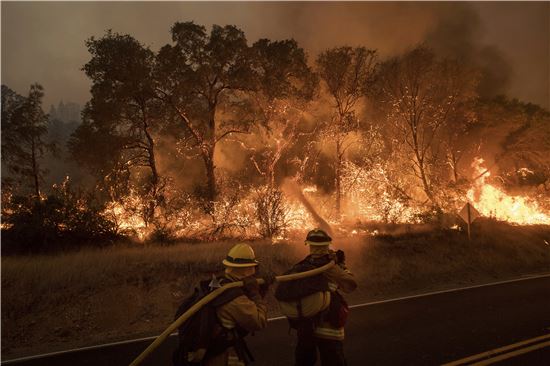 [포토]불타는 美 캘리포니아