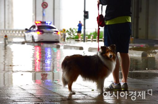 [포토]지나갈 수 없는 잠수교