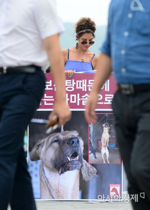 [포토]'개 식용 반대' 1인 시위