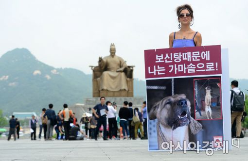 [포토]한국 찾은 영국인, '개 식용 반대' 1인 시위