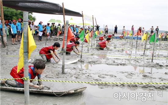 보성군, 벌교 천상갯벌에서 뻘배대회 개최