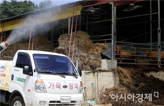 [포토]광주시 북구, 폭염 속 축사 내부온도 유지 총력