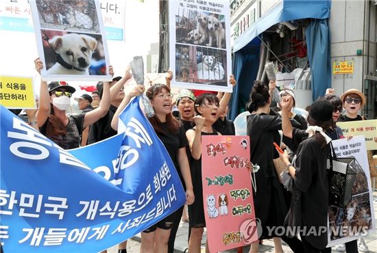 [이미지출처=연합뉴스]12일 동물보호단체 회원들이 성남 모란시장 앞에서 개고기 식용 반대 집회를 열었다. 