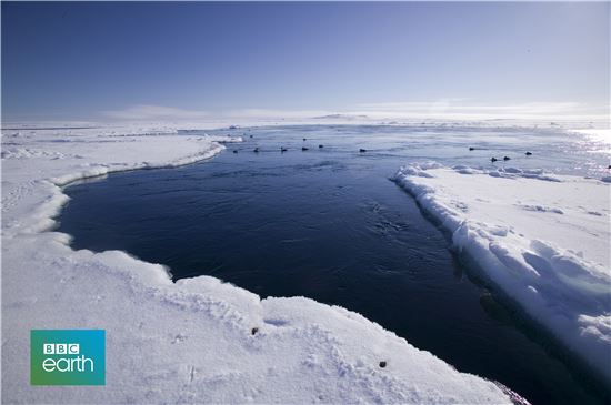 드라마·오락·예능 뻔한 방송 아닌 '펀한 다큐'