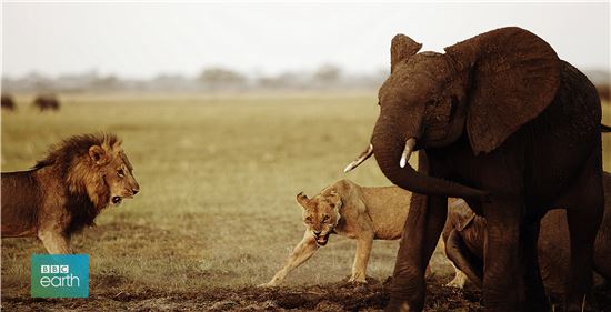 드라마·오락·예능 뻔한 방송 아닌 '펀한 다큐'