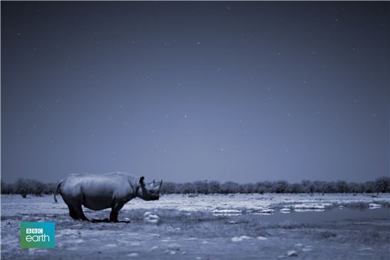 드라마·오락·예능 뻔한 방송 아닌 '펀한 다큐'