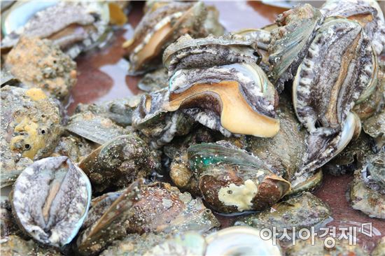 완도군, ‘복날엔 전복’전복데이 개최