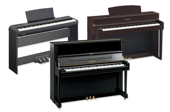 야마하뮤직코리아 '2017 야마하 썸머 페스티벌'