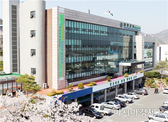 함평군, 휴가철 특별교통대책 추진