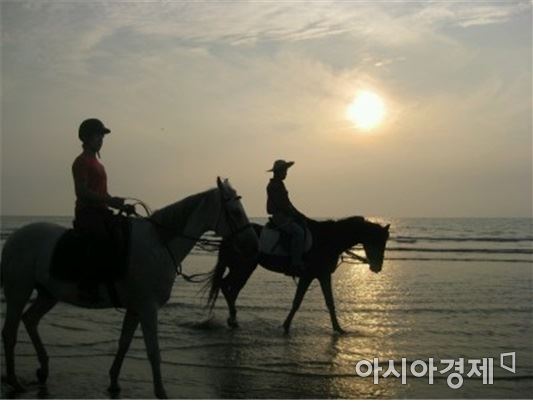 고창군 ‘말 산업’ 육성해 농어촌관광 콘텐츠 다양화 이끈다