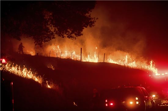 美서부 산불 비상사태 선포…한국 절반 면적 불태워