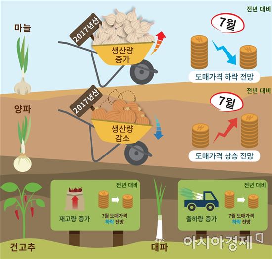 잡혀 가던 채소 가격 "장마로 또 도망갈라"