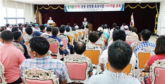 함평군, 손불농협과 양파 기계화재배 확대 본격 추진