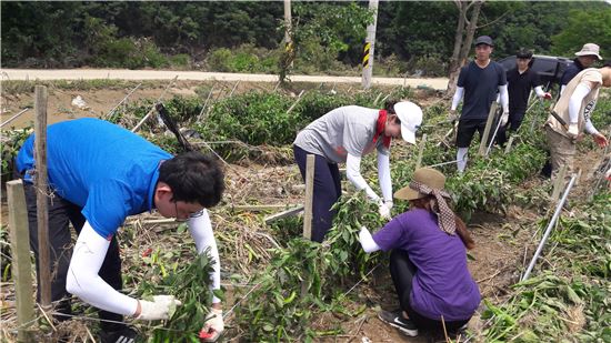 서울시농수산식품공사 청주 호우 피해 복구 지원