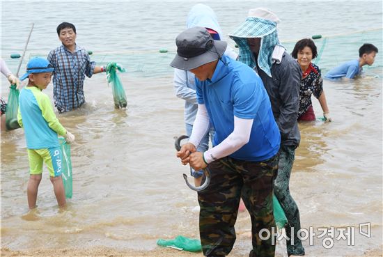 함평군 돌머리해수욕장서 뱀장어잡기 행사 개최