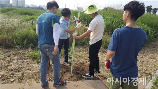 “가을 코스모스 산책길 기대하세요”