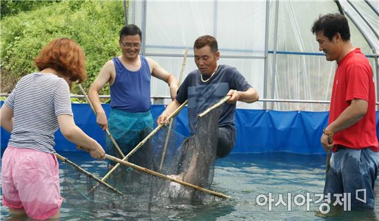 곡성군 파워블로거 초청 팸 투어 실시