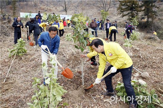 보성군, 올해‘생활권 건강 휴양숲’만든다