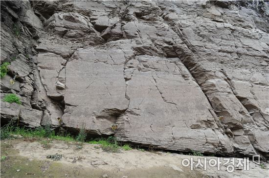 선사인에게 이 바위는 어떤 곳이었을까? 울산 대곡리 반구대암각화 발견 50주년 학술대회