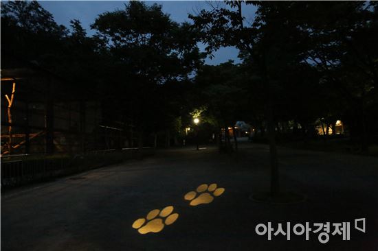 서울대공원 야간개장