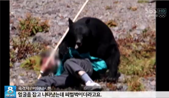 일본 야생곰이 사람을 공격하고 있다. 사진=SBS뉴스 캡쳐