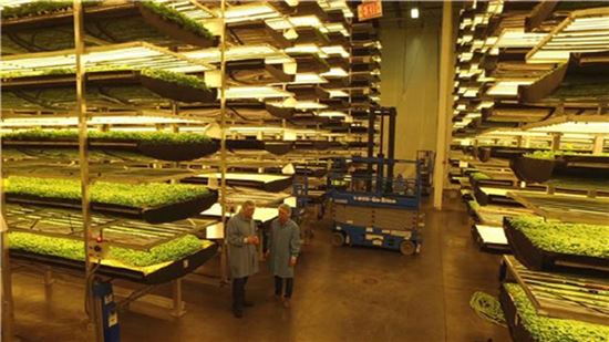 실험실서 만든 '가짜고기'…5년 뒤엔 우리집 식탁에?