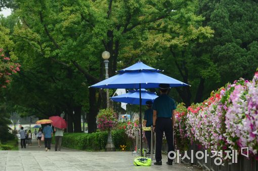 [포토]청와대 앞길 산책