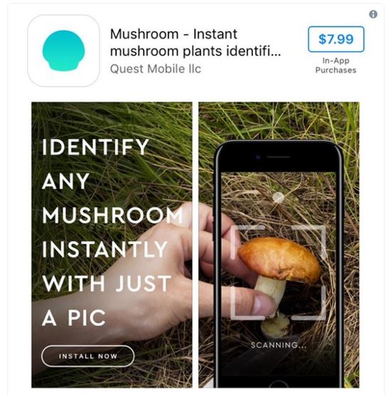 최근 미국에서 인기를 누리고 있는 독버섯 분별앱 '버섯식별기(Mushroom-Instant Mushroom Plants Identification)'