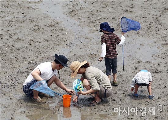 함평’돌머리해수욕장 갯벌체험 인기
