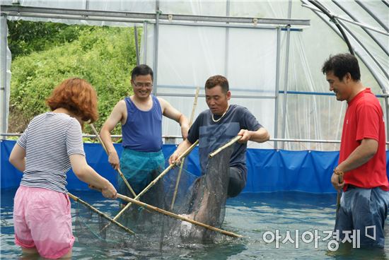 맛도 재미도 가득한 ‘곡성 한바퀴-개미진 여름여행’떠나자