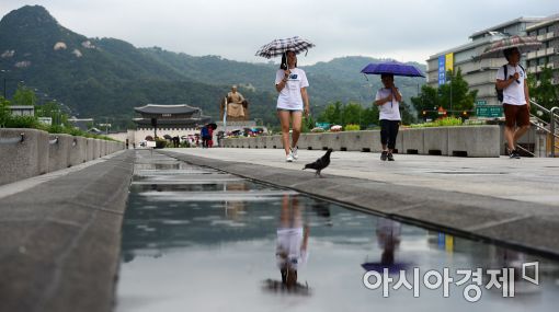 [포토]비 내리는 광화문광장