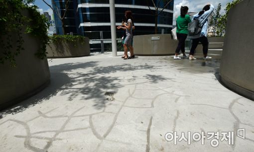 [포토]불안한 공중보행로 산책