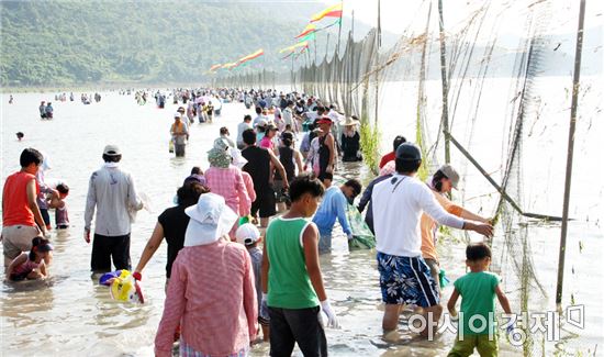 진도군, 전통 방식 ‘개매기 바다 체험’ 개최