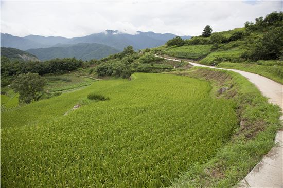 [조문환의 지리산별곡 12] 큰 산 얼굴, 널 닮고 싶다