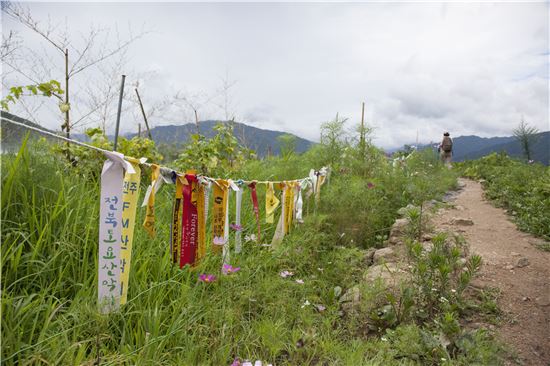 [조문환의 지리산별곡 12] 큰 산 얼굴, 널 닮고 싶다