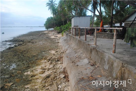 ▲푸나푸티에서는 콘트리트를 이용해 해수면 상승을 막고 있다. 
