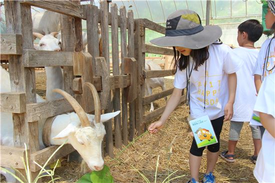 산양에서 시작된 한국 치즈의 50년 역사를 찾아, 임실 치즈마을을 방문하다