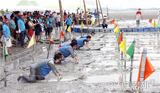 ‘제4회 전라남도지사배 레저 뻘배대회’보성서 개최