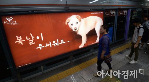 [포토]지하철 승강장에 설치된 '개 식용 반대 캠페인'