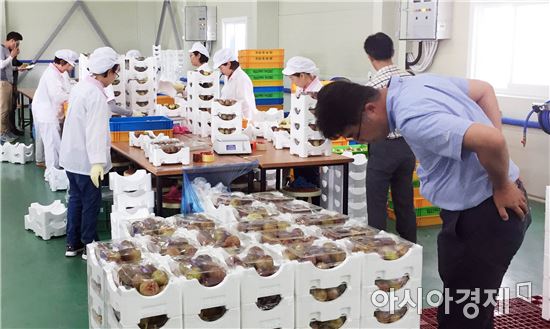 농협전남지역본부,상큼애 브랜드(무화과) 출하 위한 소비지 바이어 초청 협의