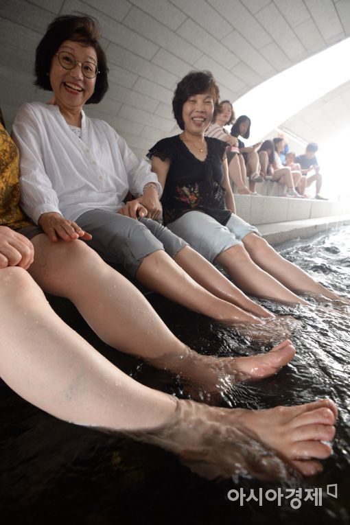 [포토]청계천은 시원해!