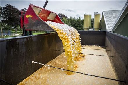 사진=EPA연합뉴스유럽에서 살충제에 오염된 계란을 처분하는 모습.
