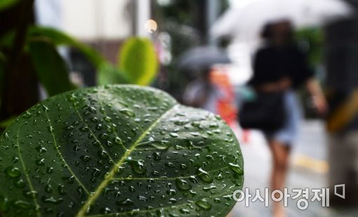 [포토]더위 식히는 비