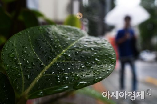 [날씨]14일 흐리고 비…남부 천둥·번개