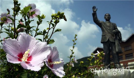 광복절 앞두고 함평 임시정부청사  무궁화 만개
