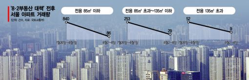 8·2 부동산대책 직격탄 중소형아파트 '거래 절벽' 