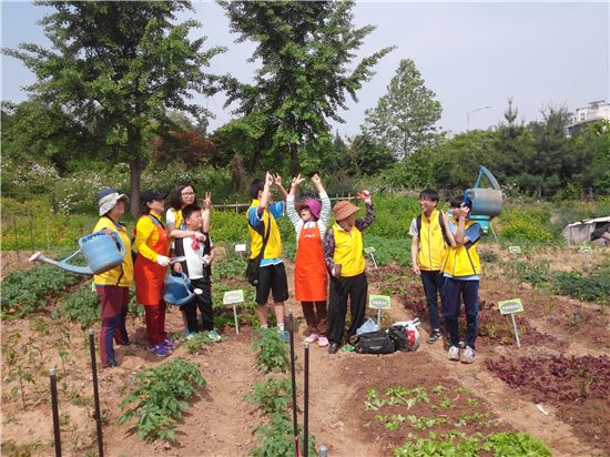 강동구, 텃밭클리닉 도시농업전문가 운영