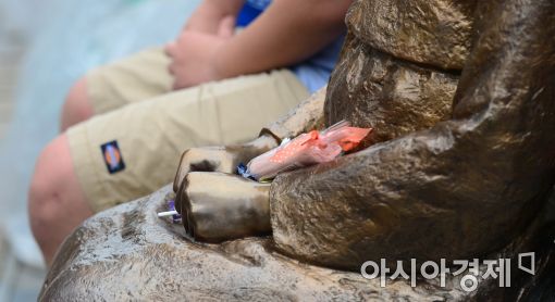 일본군 위안부 피해자 恨 풀리나…기념사업 논의 활발 