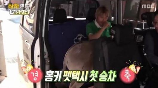 펫택시를 이용하는 방송인 노홍철과 반려동물 당나귀 '홍키'/사진=MBC '하하랜드' 방송화면 캡처